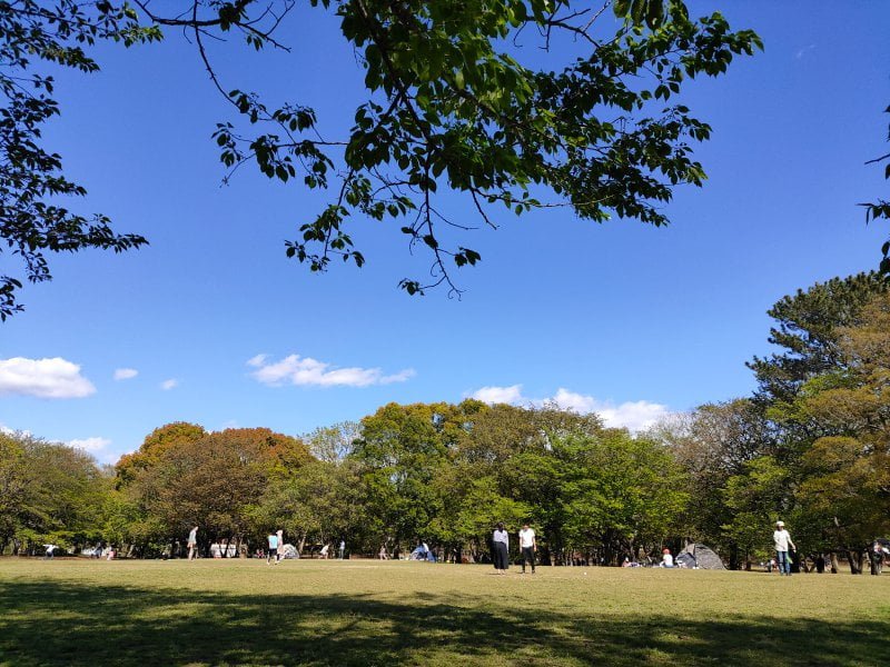 柏の葉公園
