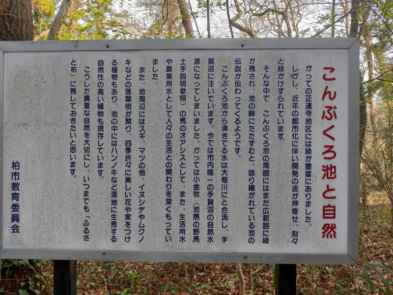 こんぶくろ池と自然