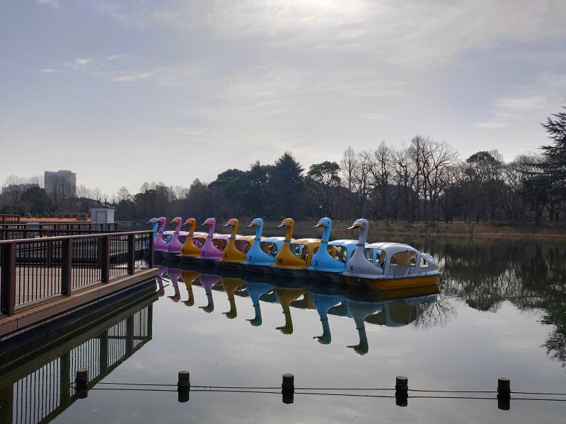 スワンボート乗り場