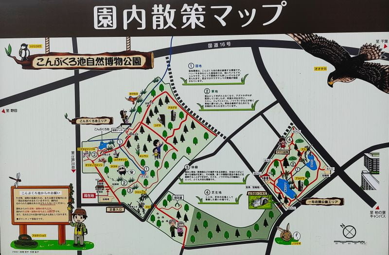 こんぶくろ池の全体地図