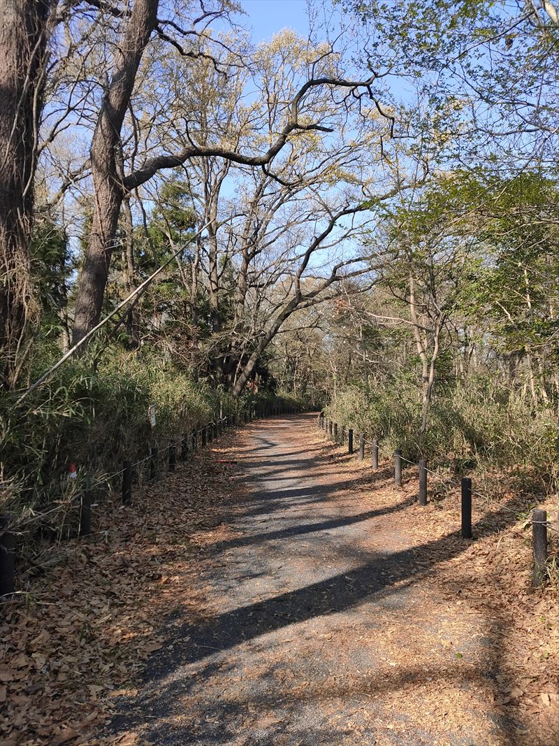こんぶくろ池自然博物公園 一号近隣公園エリア