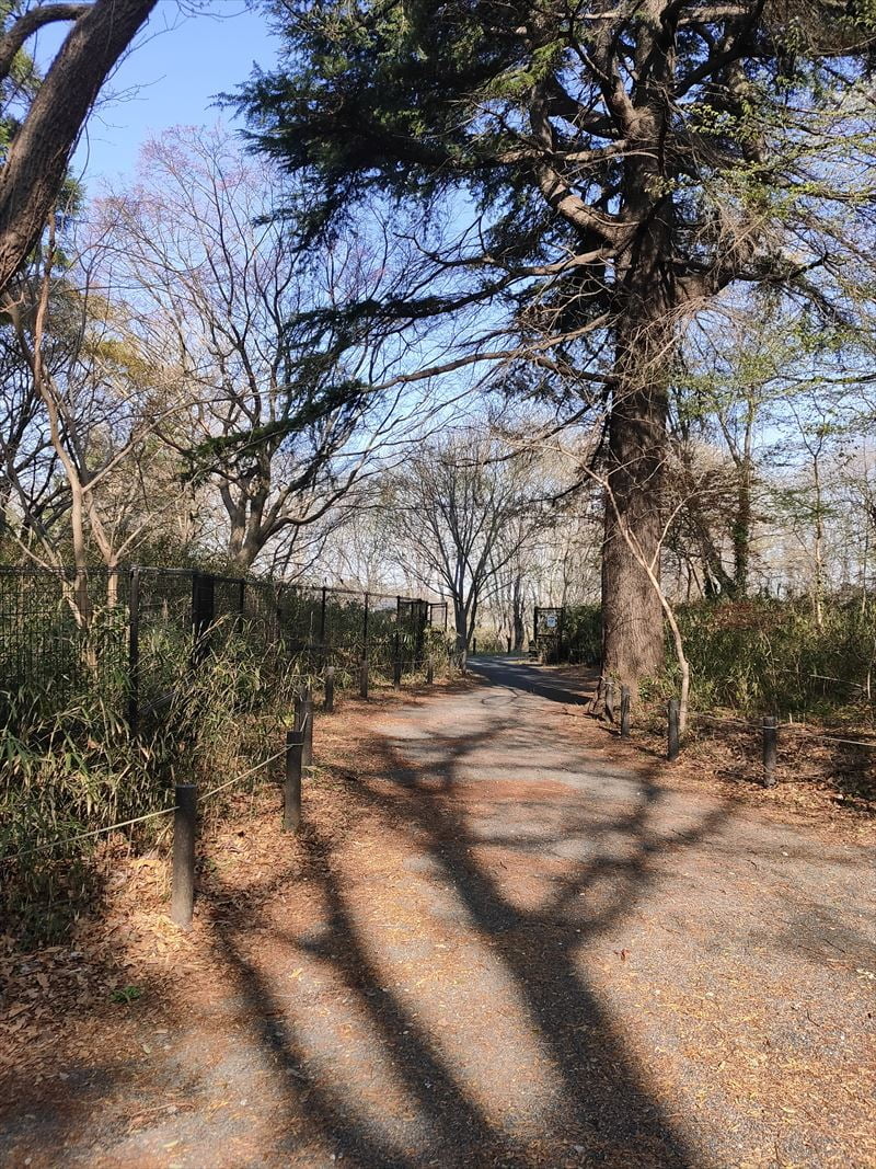 こんぶくろ池自然博物公園 一号近隣公園エリア
