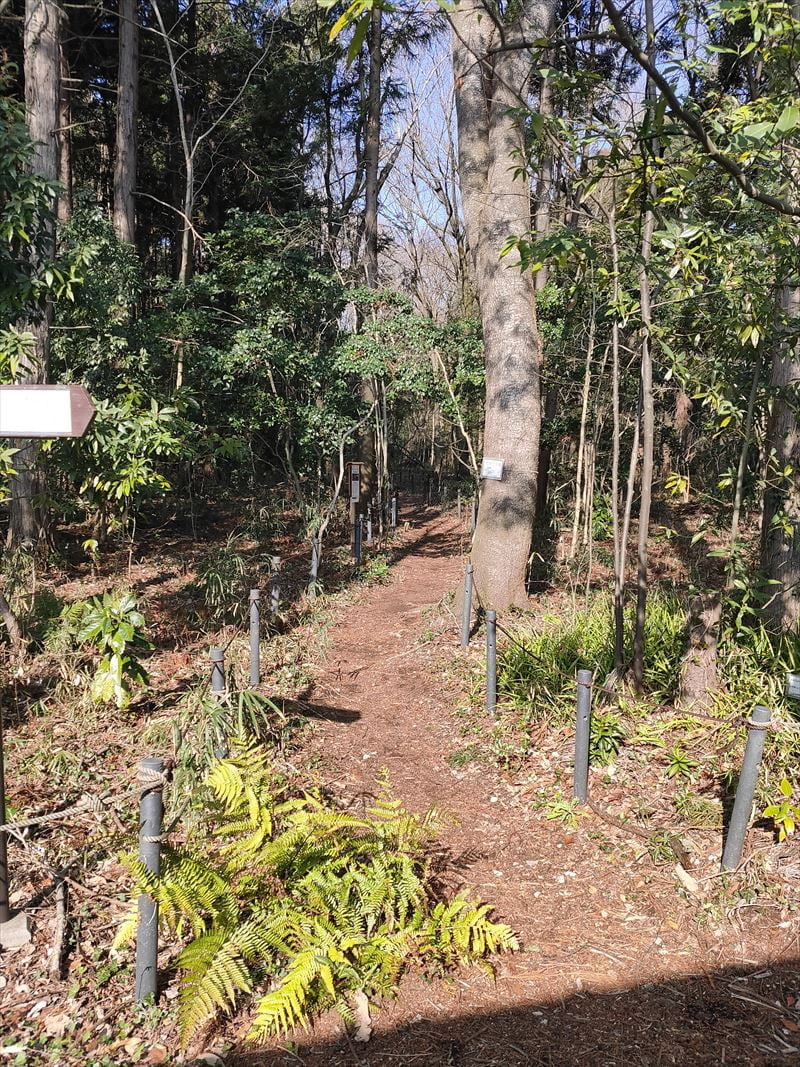 こんぶくろ池自然博物公園　東側散策路