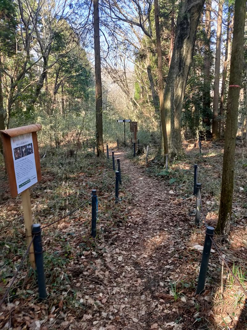 こんぶくろ池自然博物公園　散策路