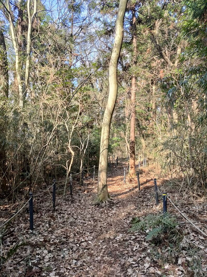 こんぶくろ池自然博物公園　散策路