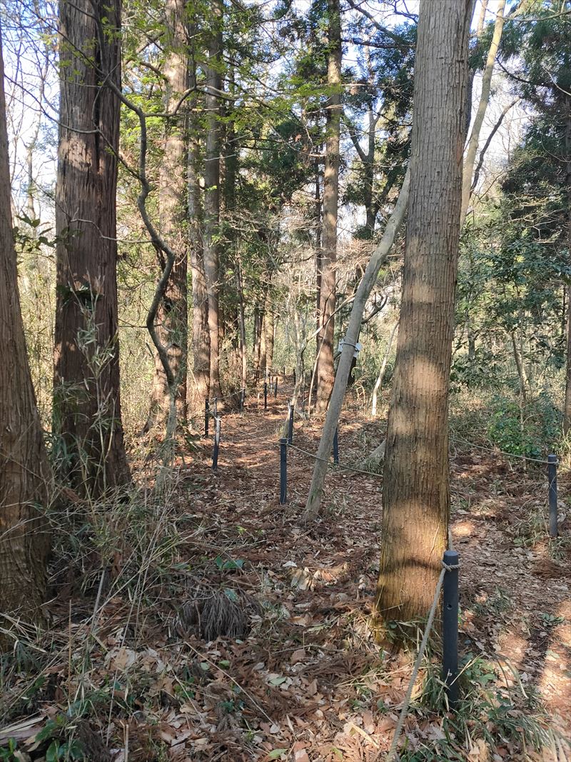 こんぶくろ池自然博物公園　散策路