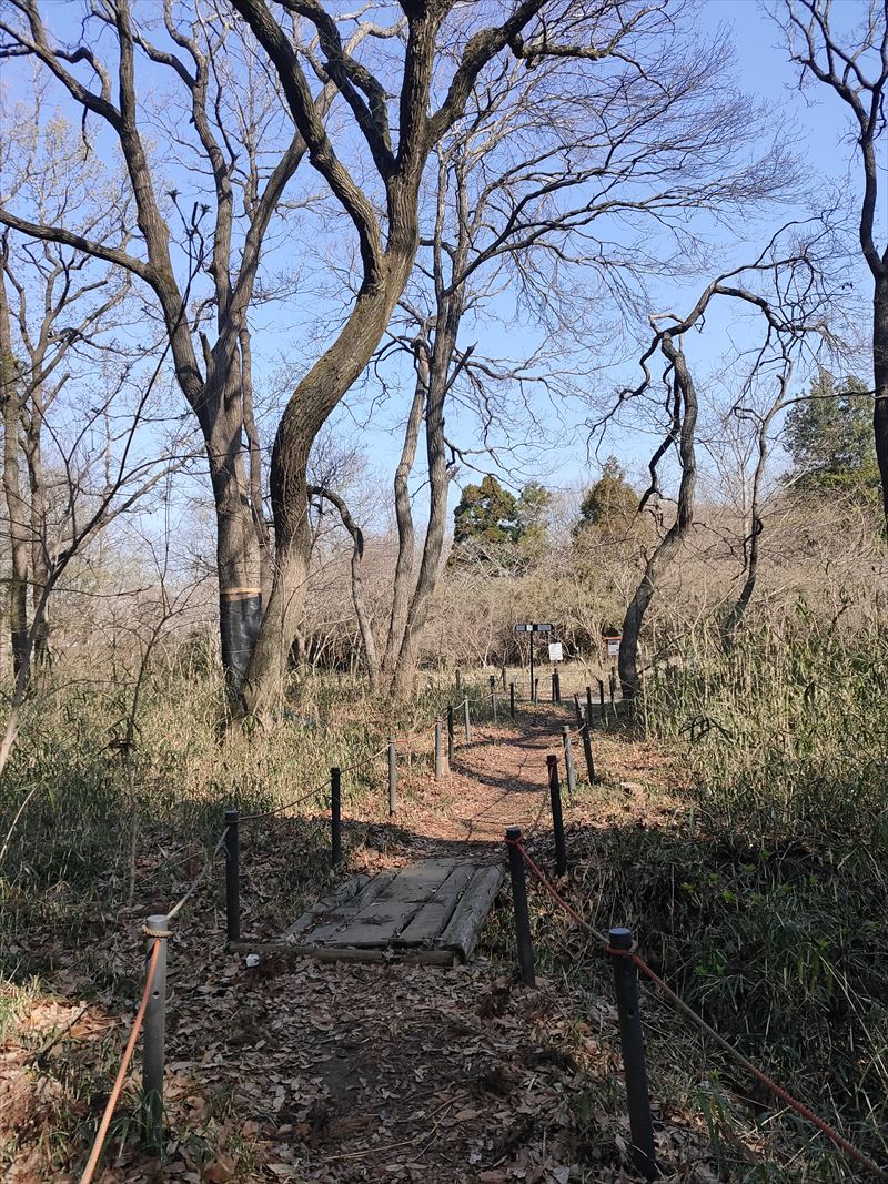 こんぶくろ池自然博物公園　散策路