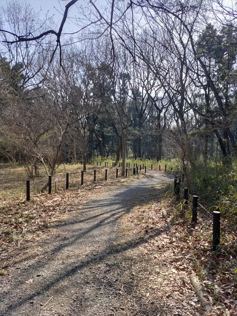 こんぶくろ池自然博物公園　散策路