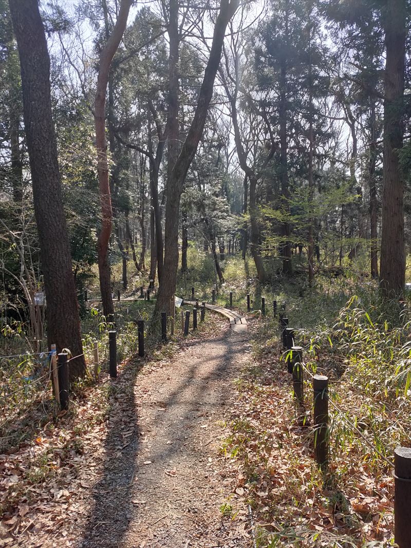 こんぶくろ池自然博物公園　弁天池付近