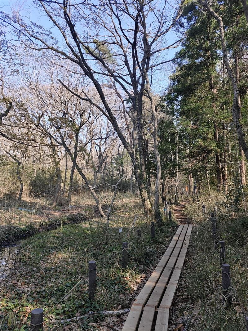 こんぶくろ池自然博物公園　弁天池付近