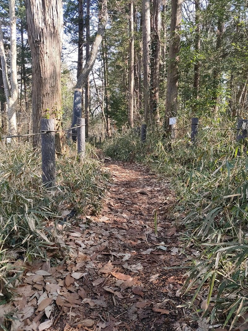 こんぶくろ池自然博物公園　散策路