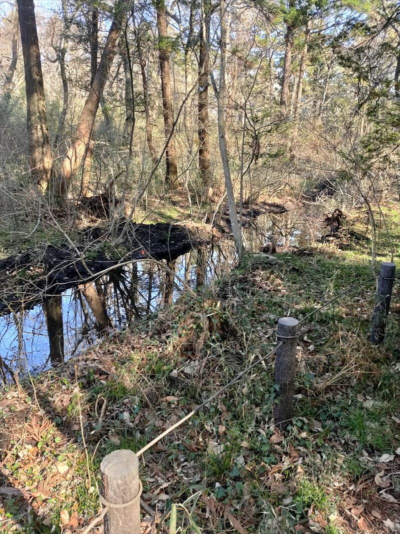 こんぶくろ池自然博物公園　小川