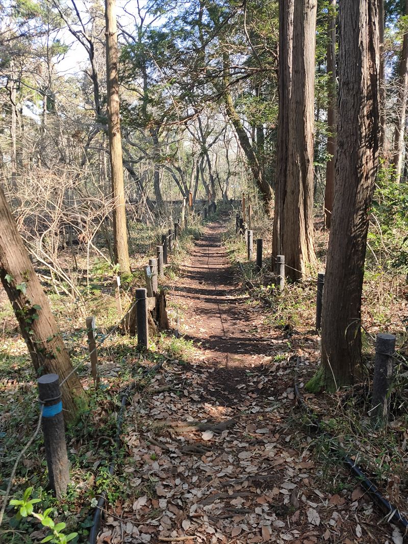 こんぶくろ池自然博物公園　散策路