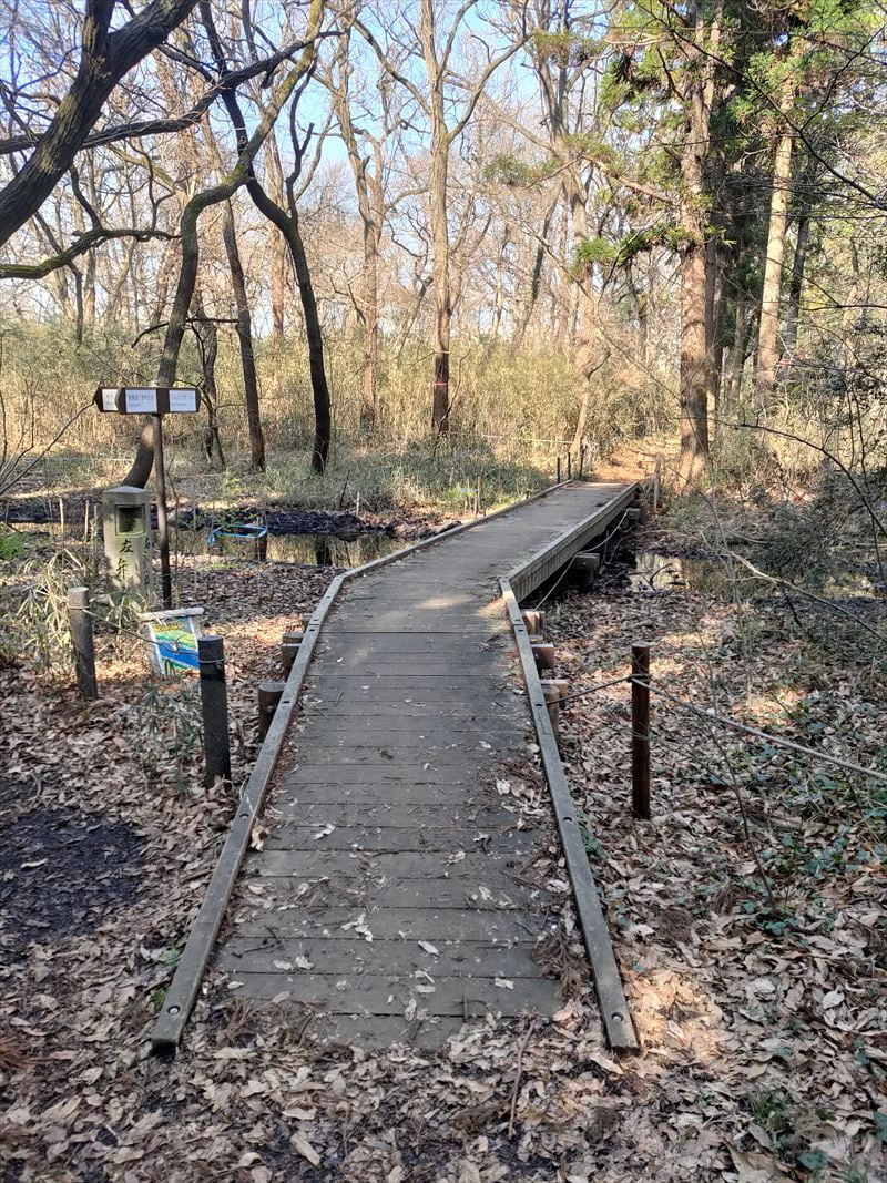 こんぶくろ池自然博物公園の橋