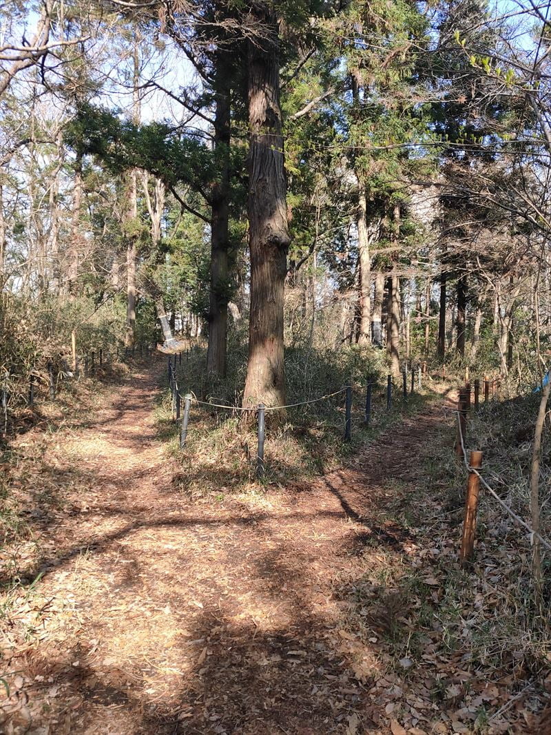 こんぶくろ池自然博物公園　分岐路