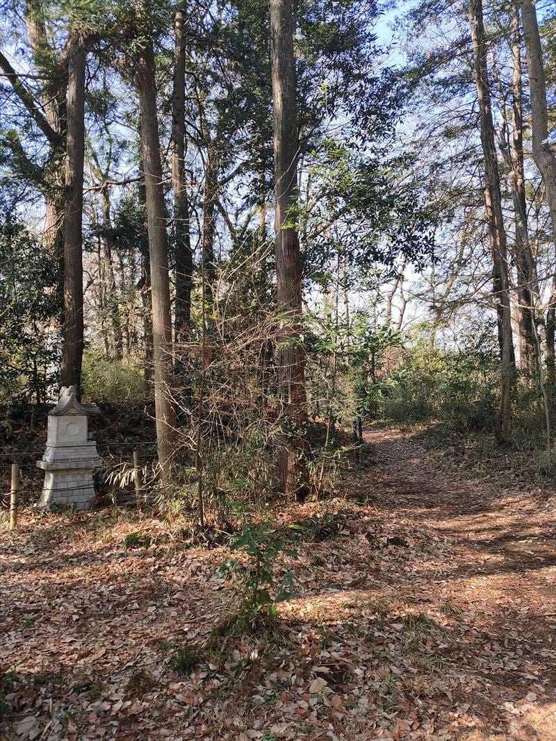 こんぶくろ池自然博物公園　こんぶくろ池付近