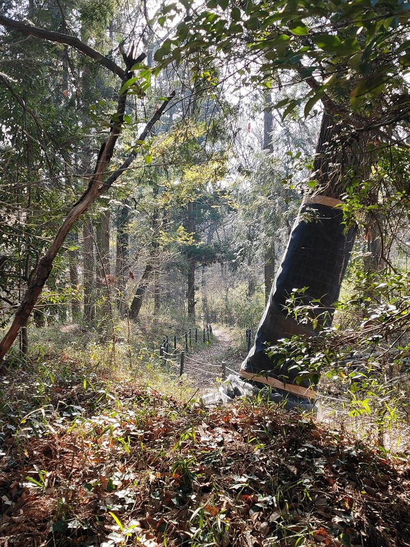 こんぶくろ池自然博物公園　散策路