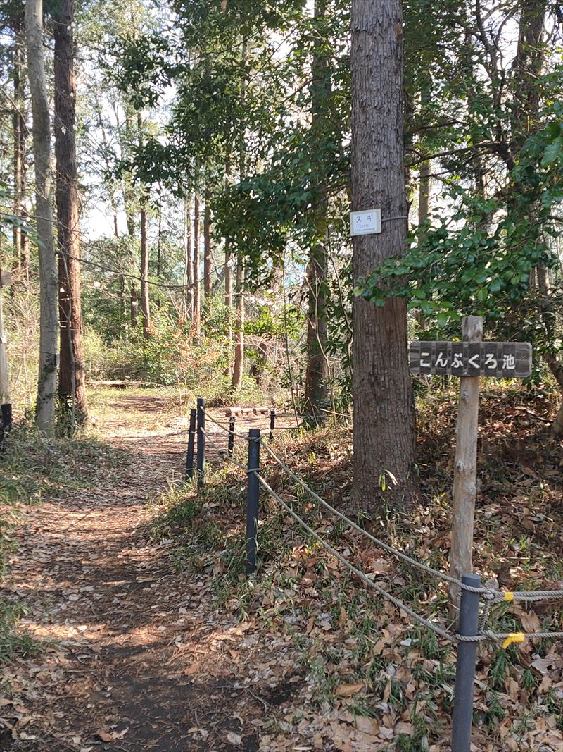 こんぶくろ池自然博物公園　散策路
