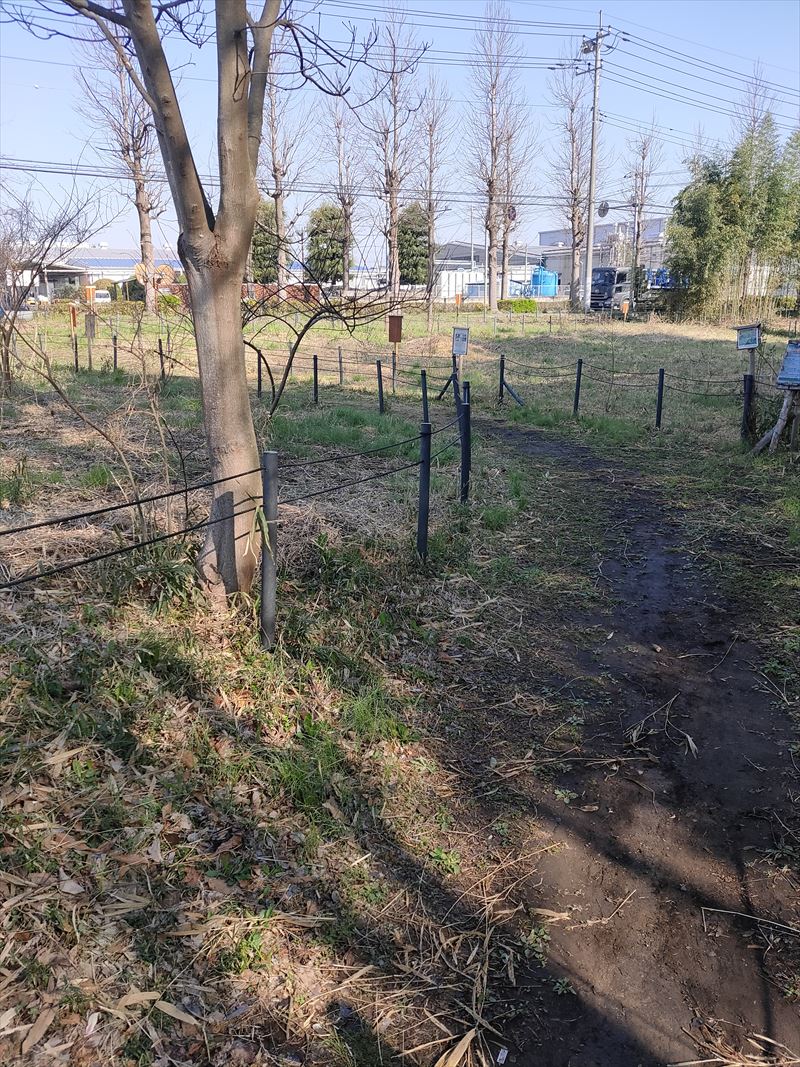 こんぶくろ池自然博物公園　出入口