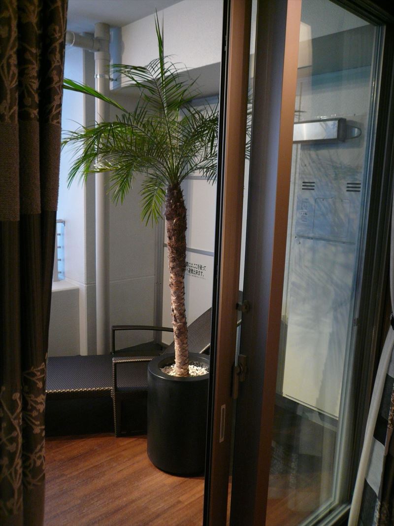 リビングからバルコニー モデルルーム