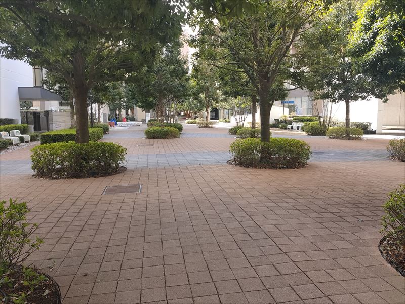 敷地周辺 パークシティ柏の葉キャンパス ザ・ゲートタワー