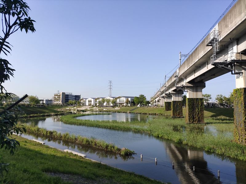 柏の葉T-SITEとアクアテラス　池周囲の遊歩道が水没しているときの状況