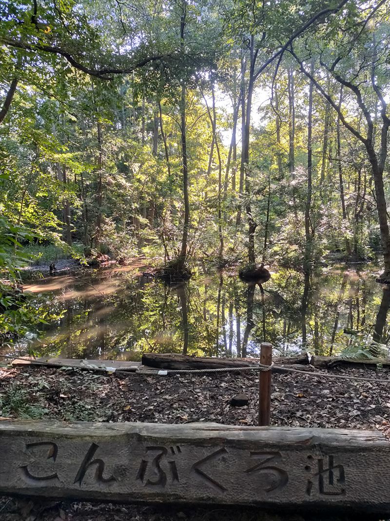 こんぶくろ池 正面　こんぶくろ池自然博物公園