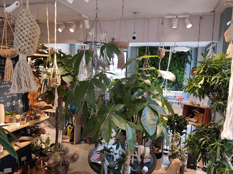 KOIL LINK GARAGE（コイル リンク ガレージ）植物販売店の内部