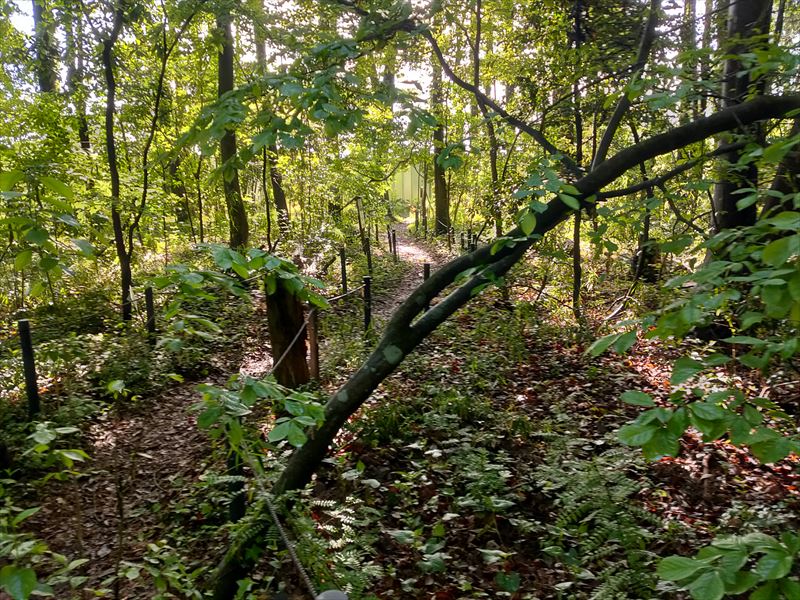こんぶくろ池自然博物公園