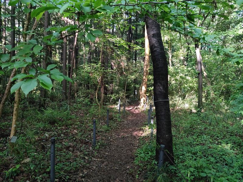 こんぶくろ池自然博物公園