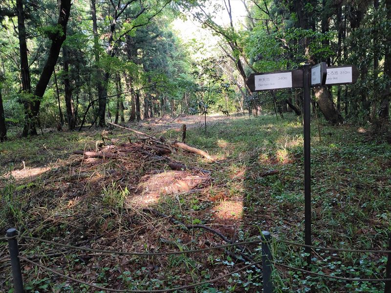 こんぶくろ池自然博物公園