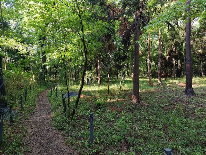 こんぶくろ池自然博物公園