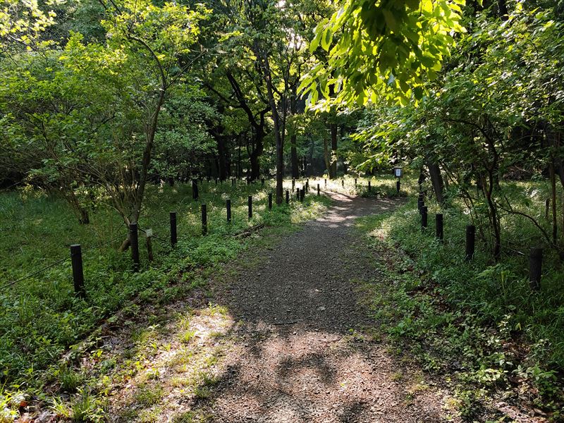 こんぶくろ池自然博物公園
