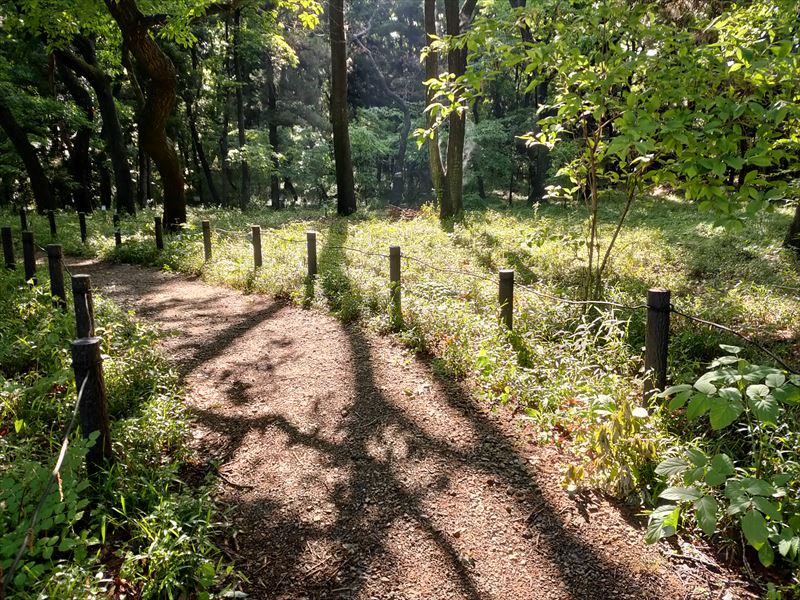 こんぶくろ池 自然博物公園
