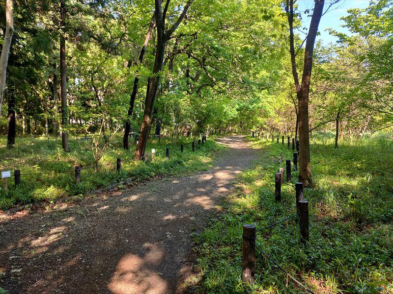 こんぶくろ池 自然博物公園