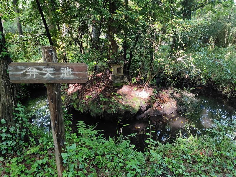 弁天池　こんぶくろ池 自然博物公園