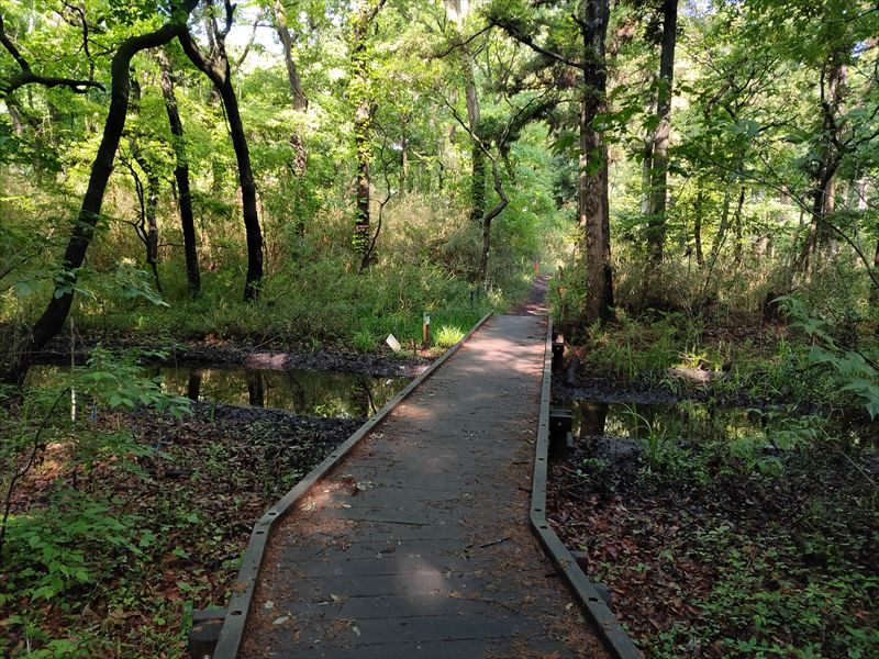 こんぶくろ池 自然博物公園