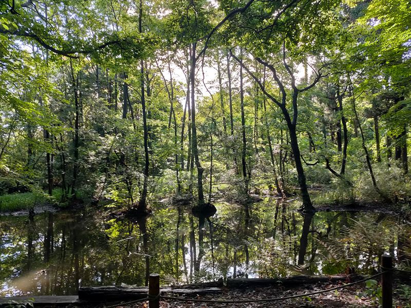 こんぶくろ池 自然博物公園