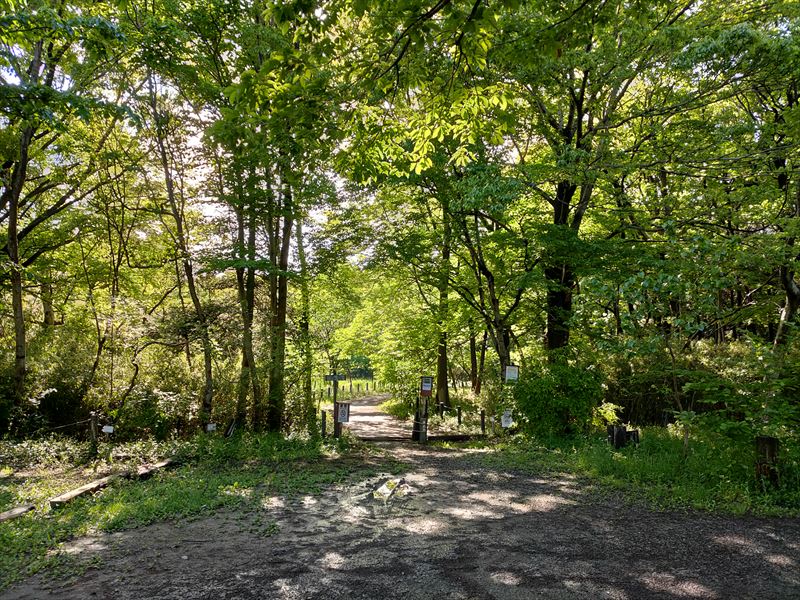 こんぶくろ池自然博物公園