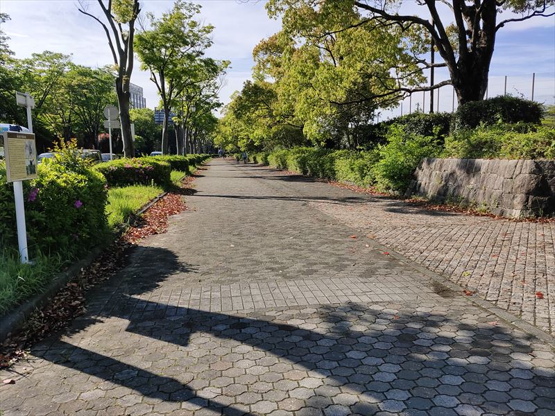 柏の葉公園周囲の歩道