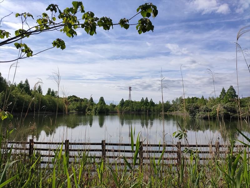 柏の葉第2水辺公園　全体風景