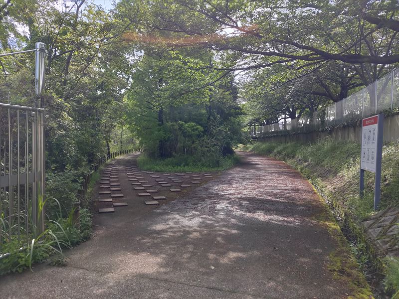 柏の葉第2水辺公園　分岐路