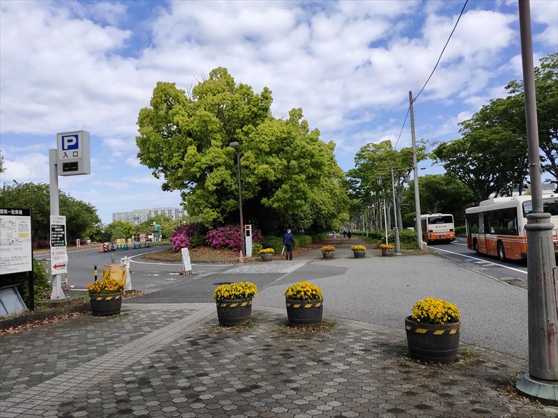 柏の葉公園　第1駐車場進入口