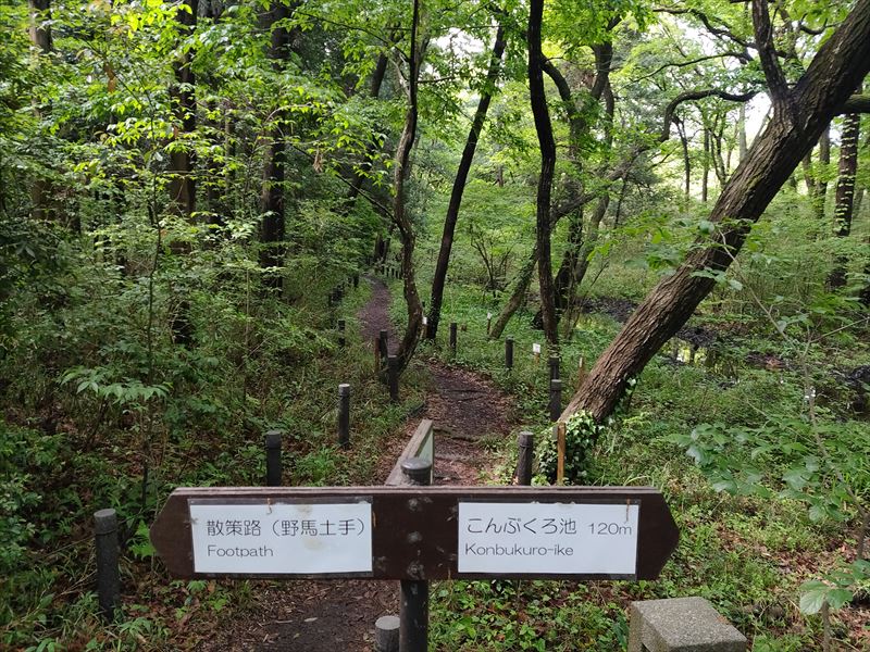 こんぶくろ池 自然博物公園