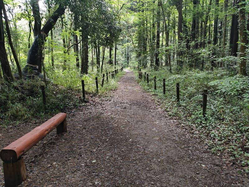 こんぶくろ池 自然博物公園