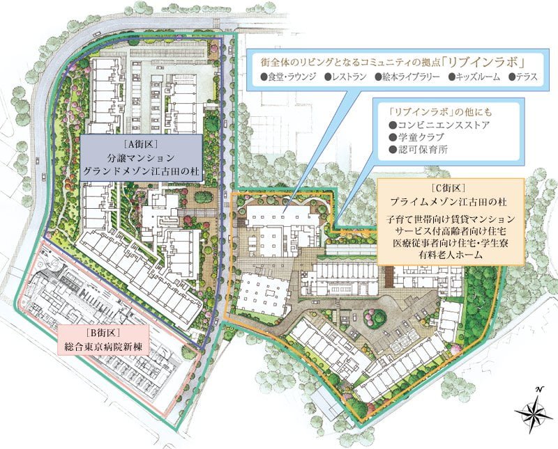江古田の杜プロジェクトの敷地配置図