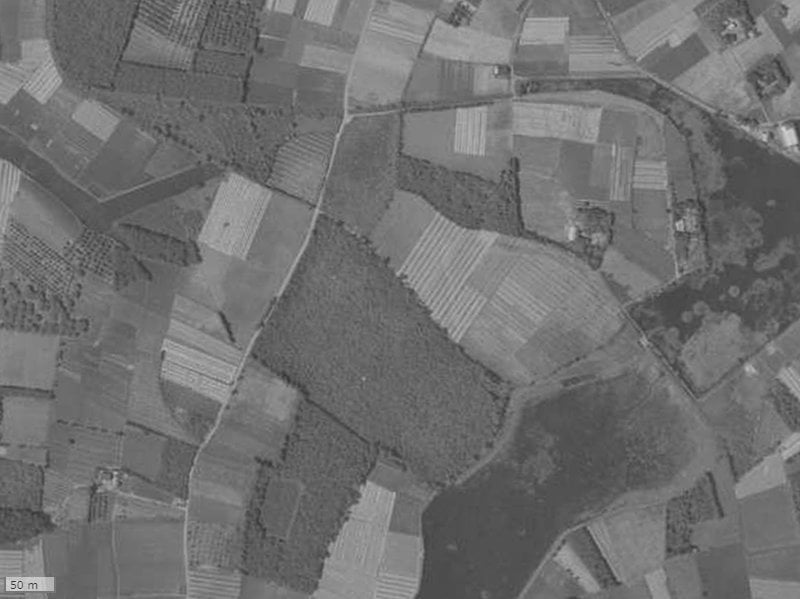 【1961～1969年度撮影】昔のライオンズマンション筑波学園都市の場所・周辺環境