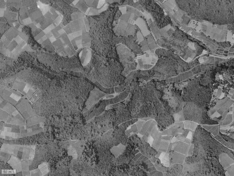 【1961~1969年度撮影】昔の若葉台ワーズワースの丘の場所・周辺環境