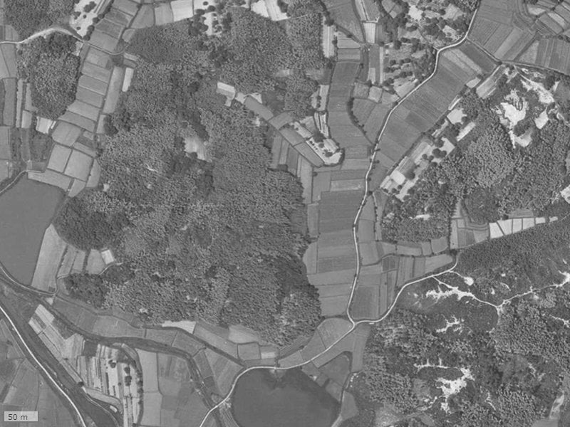 【1961~1969年度撮影】昔のリーベスト楠葉東山の場所・周辺環境