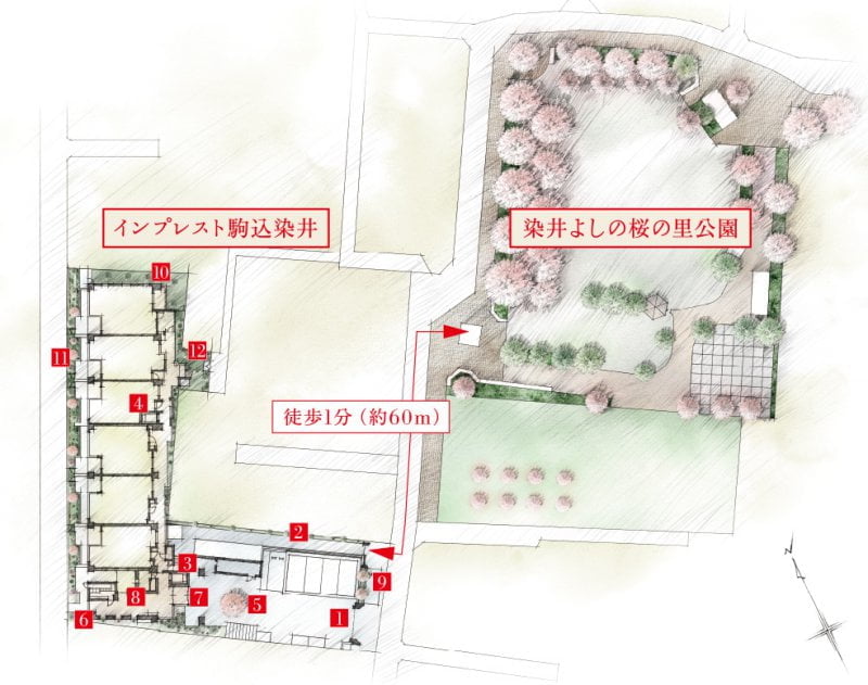インプレスト駒込染井の敷地配置図(周辺環境含む)